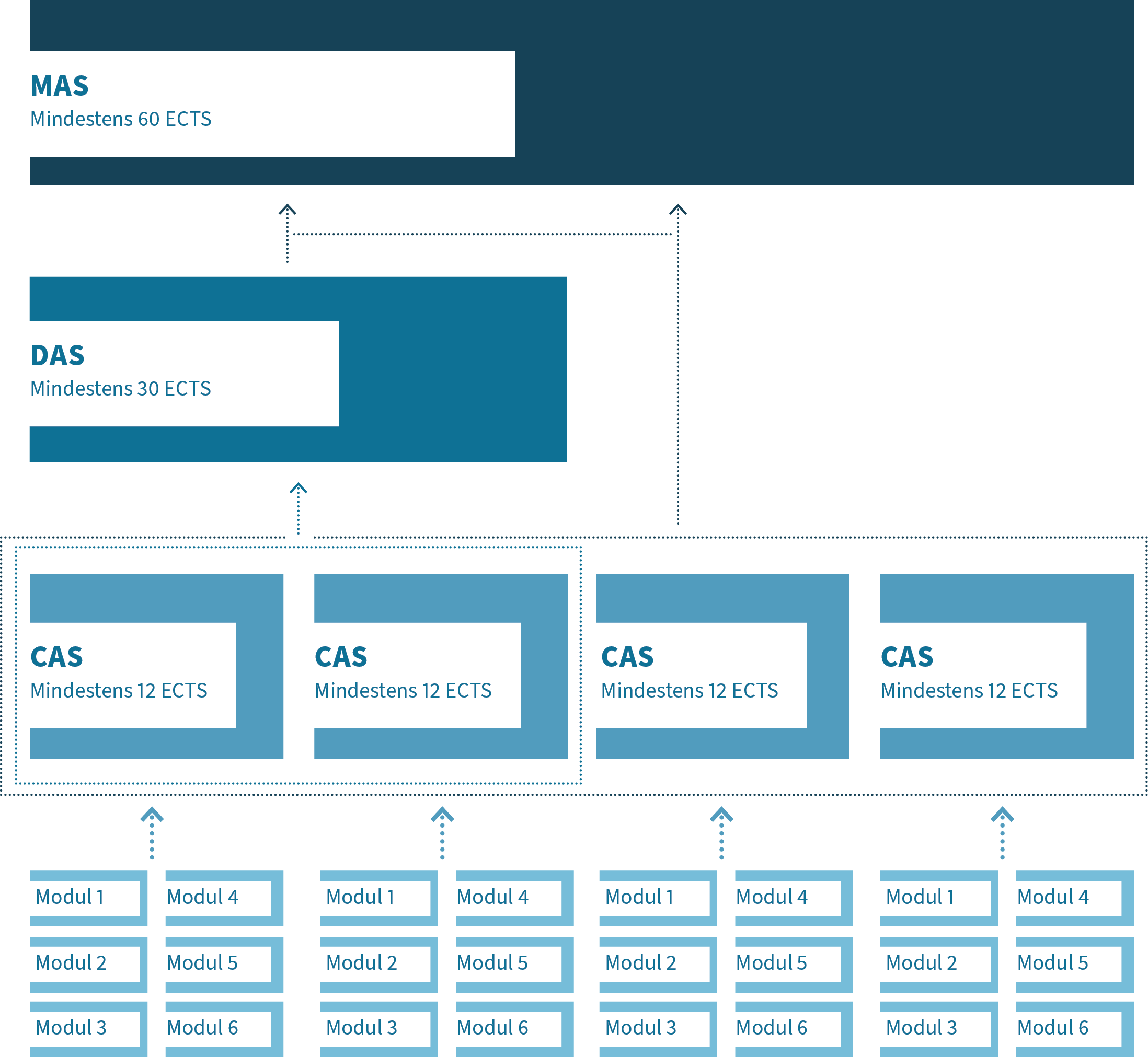 Visualisierung Modulare Struktur der Executive Education